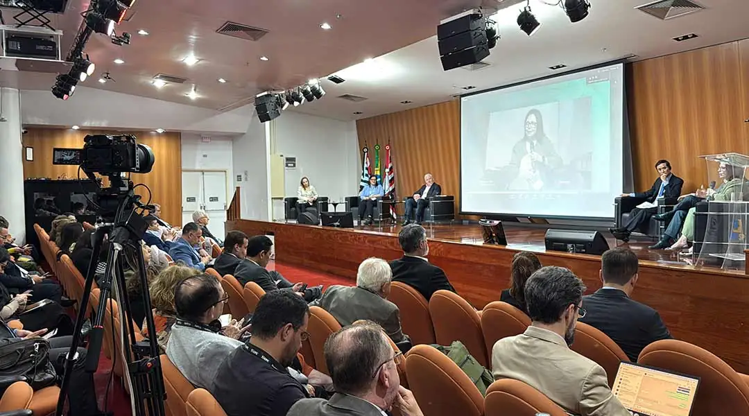 Transmissão ao vivo realizada pela Rolê Filmes, foto 2
